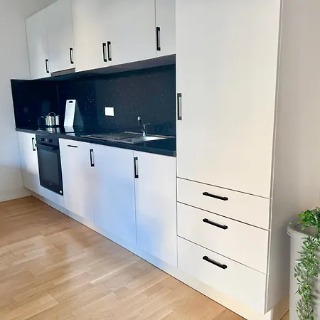 Cosy Modern Near Vienna