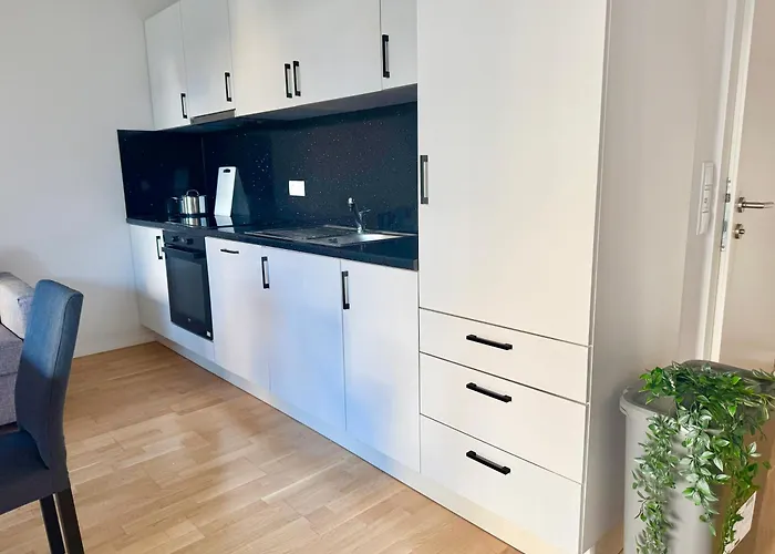 Cosy Modern Near Vienna